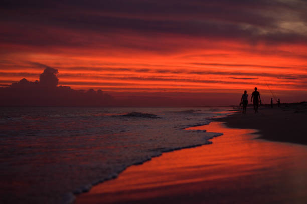 istockphoto 2154946901 612x612